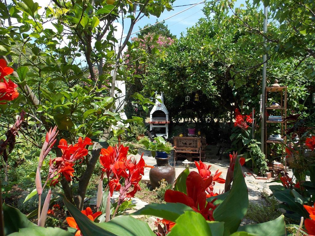 Stamatia'S Garden Agnontas Exterior foto