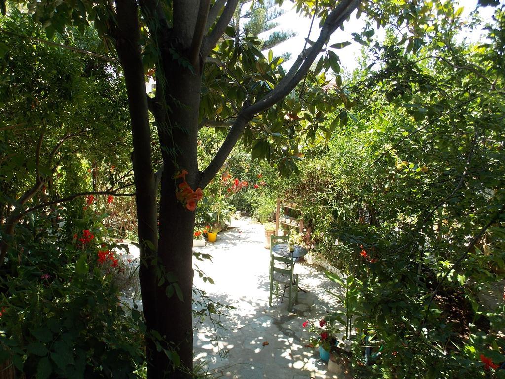Stamatia'S Garden Agnontas Exterior foto