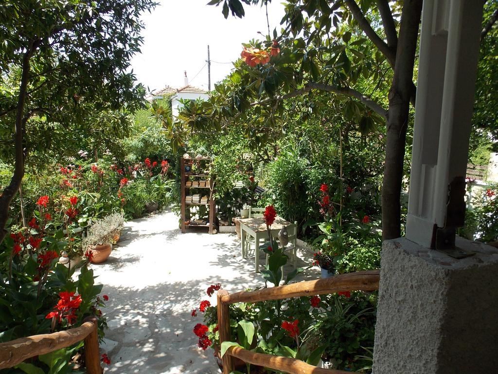 Stamatia'S Garden Agnontas Exterior foto