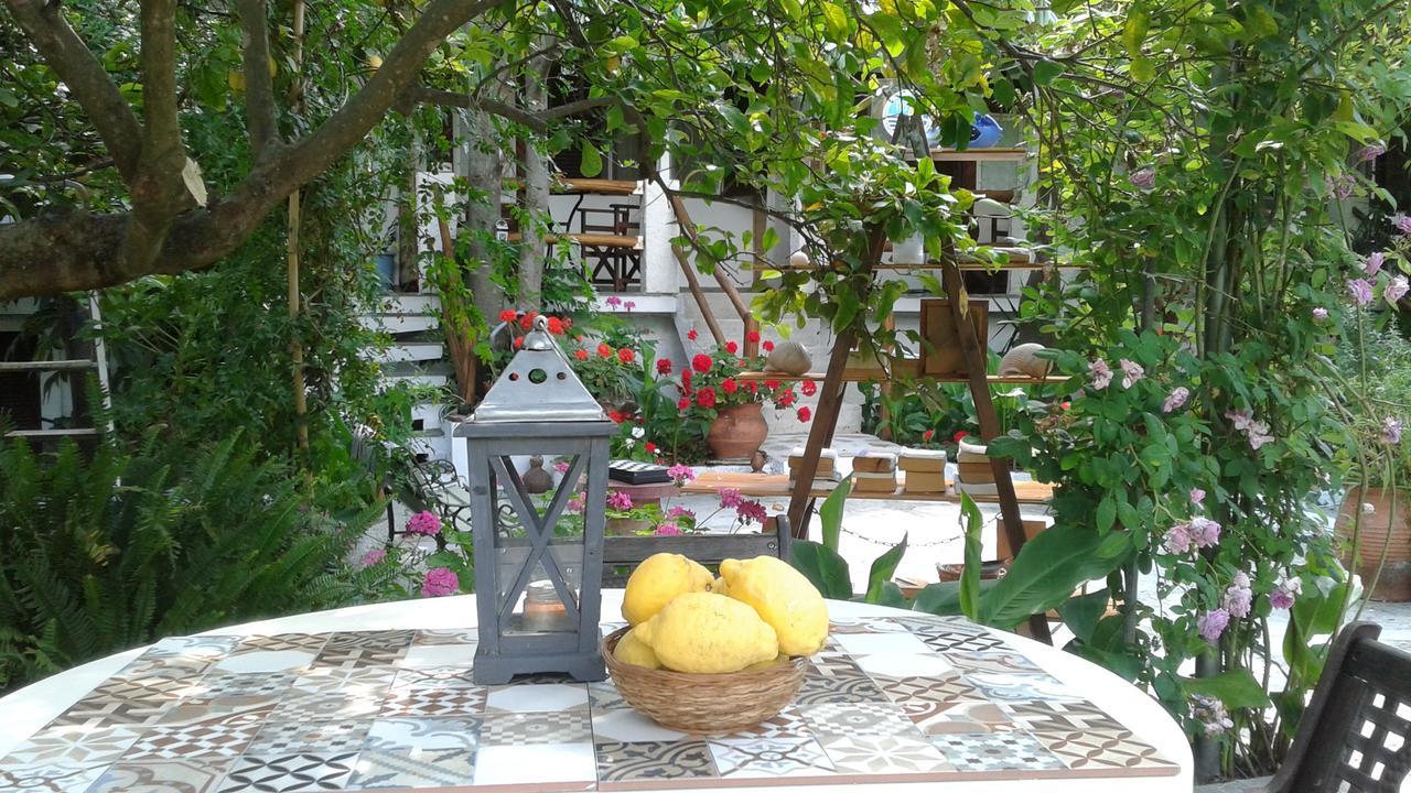 Stamatia'S Garden Agnontas Exterior foto