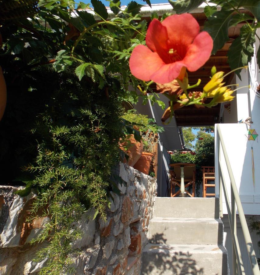 Stamatia'S Garden Agnontas Exterior foto