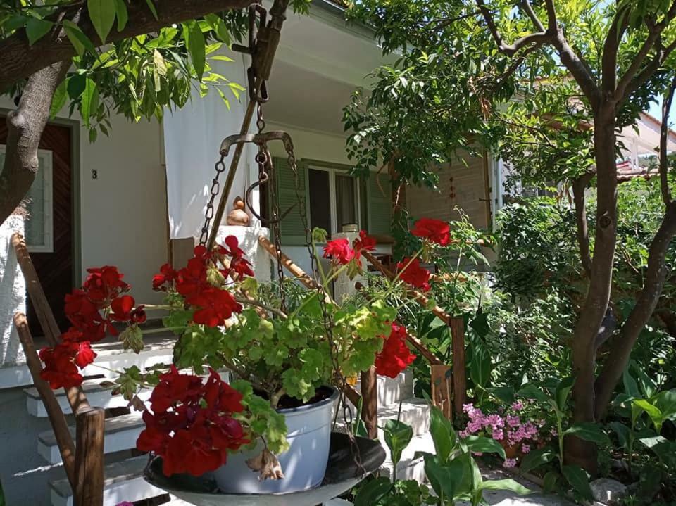 Stamatia'S Garden Agnontas Exterior foto