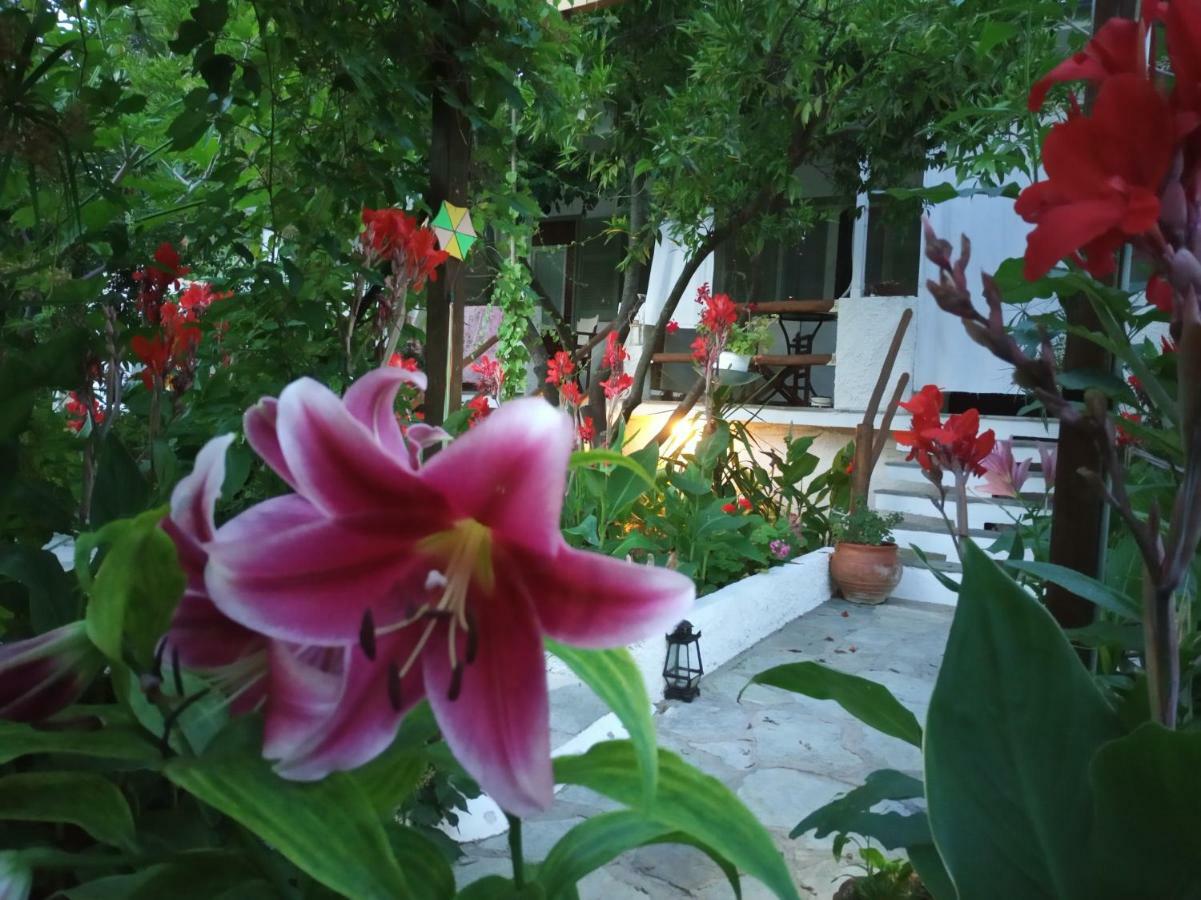 Stamatia'S Garden Agnontas Exterior foto