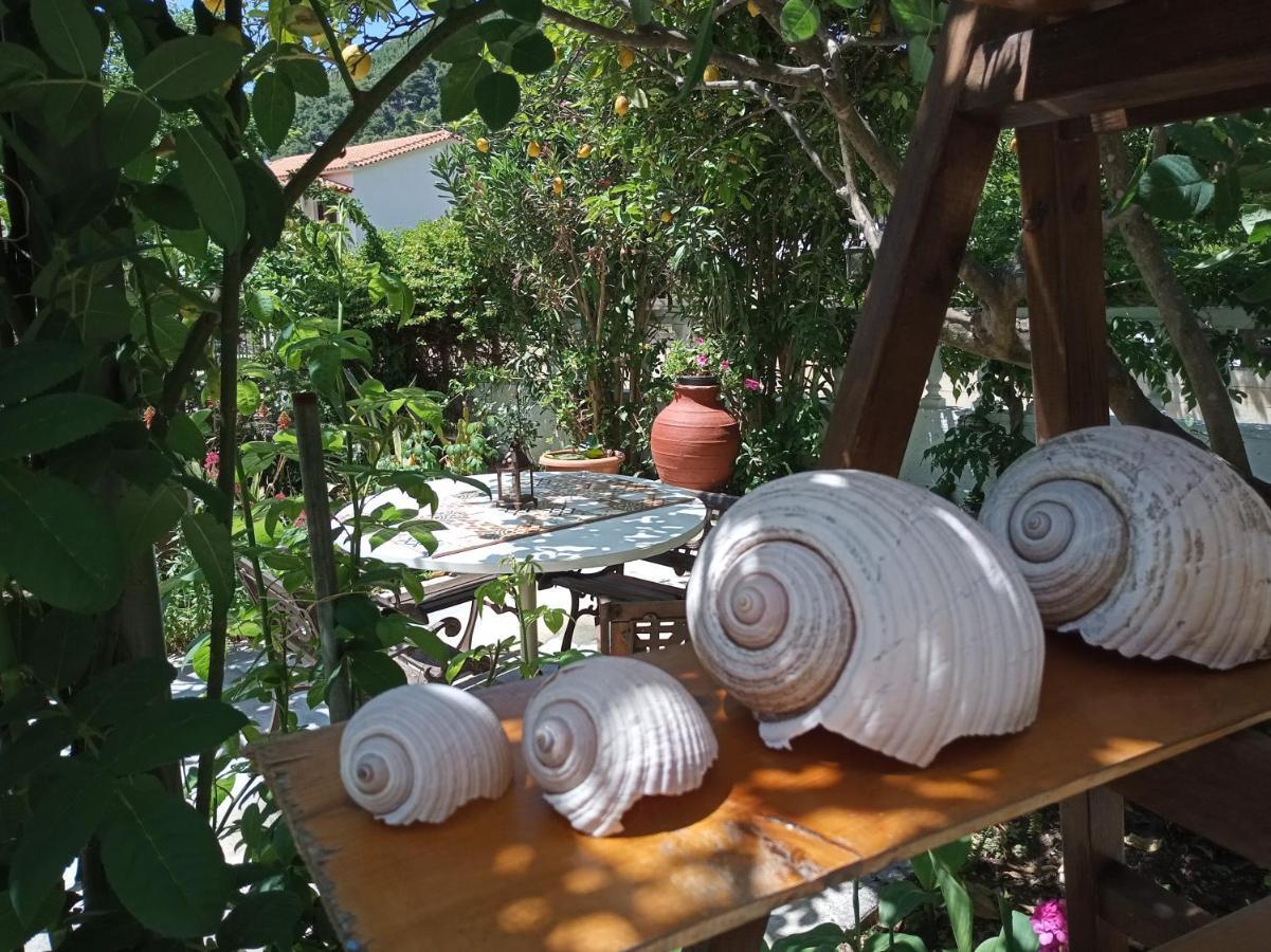 Stamatia'S Garden Agnontas Exterior foto